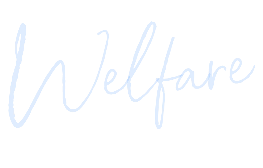 Welfare